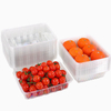Contact direct avec la stabilit&eacute; alimentaire &eacute;conomie bo&icirc;te d'emballage de nouveaut&eacute; de livraison de fruits transparente pour les aliments