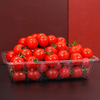 Recycelbare, transparente Blister-Innenschale f&uuml;r Haustiere aus Kunststoff f&uuml;r frisches Obst und Gem&uuml;se