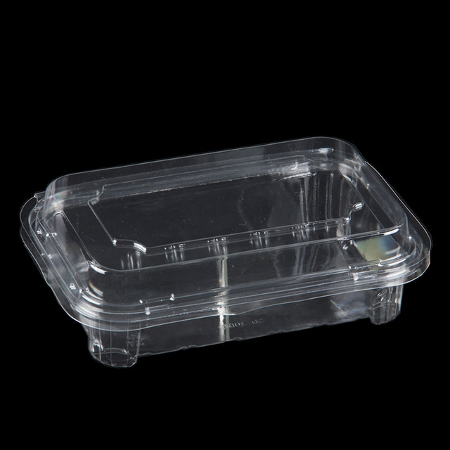Recycelbare transparente PET-Obstbox zum Verpacken von Einweg-Lebensmittel-Kunststoffbeh&auml;ltern