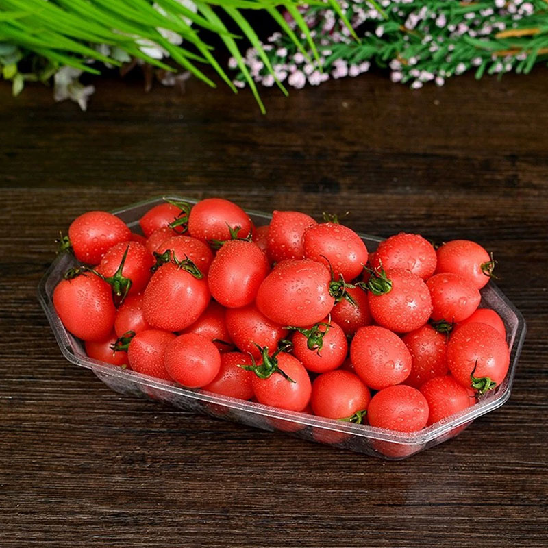 Welche Vorteile bietet die Verwendung von PET-Boxen in Lebensmittelqualit&auml;t f&uuml;r die Lagerung frischer Produkte?