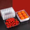 Recycelbare, transparente Blister-Innenschale f&uuml;r Haustiere aus Kunststoff f&uuml;r frisches Obst und Gem&uuml;se